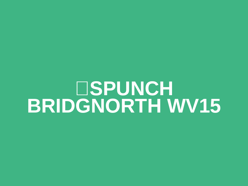 ☀️SPUNCH BRIDGNORTH WV15 Logo