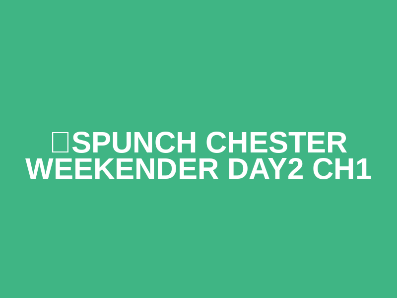 ☀️SPUNCH CHESTER WEEKENDER DAY2 CH1 Logo