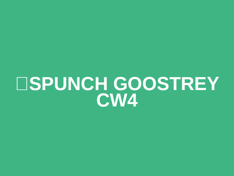 ☀️SPUNCH GOOSTREY CW4 Logo