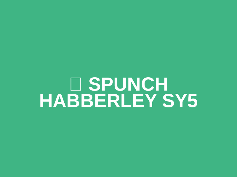 🧭 SPUNCH HABBERLEY SY5