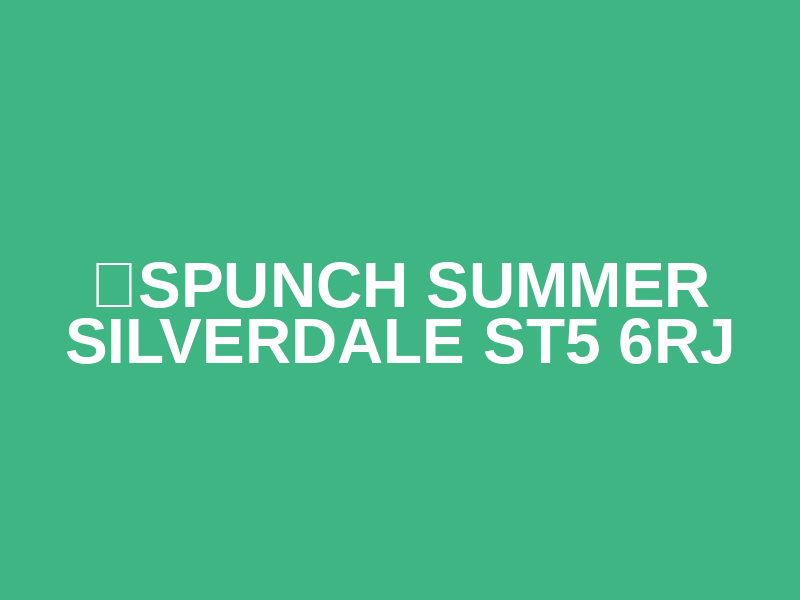 ☀️SPUNCH SUMMER SILVERDALE ST5 6RJ Logo