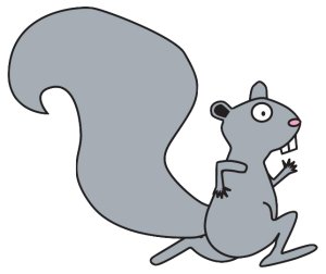 Squirrel Run XXVIII Logo