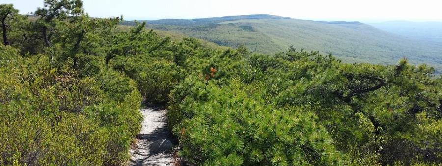 SRT - Shawangunk Ridge Trail Run Logo