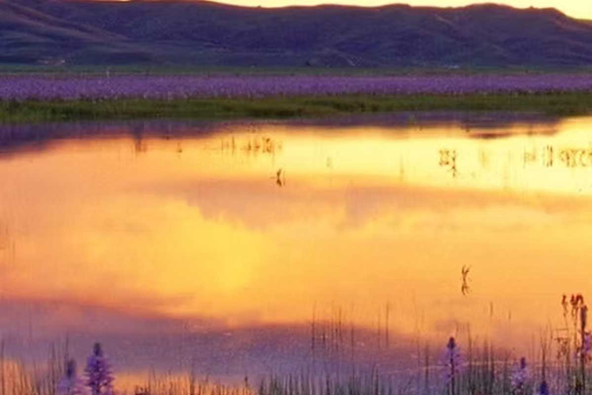 Steamboat Lake Sprint Triathlon Logo