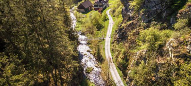 Steinachtallauf Logo