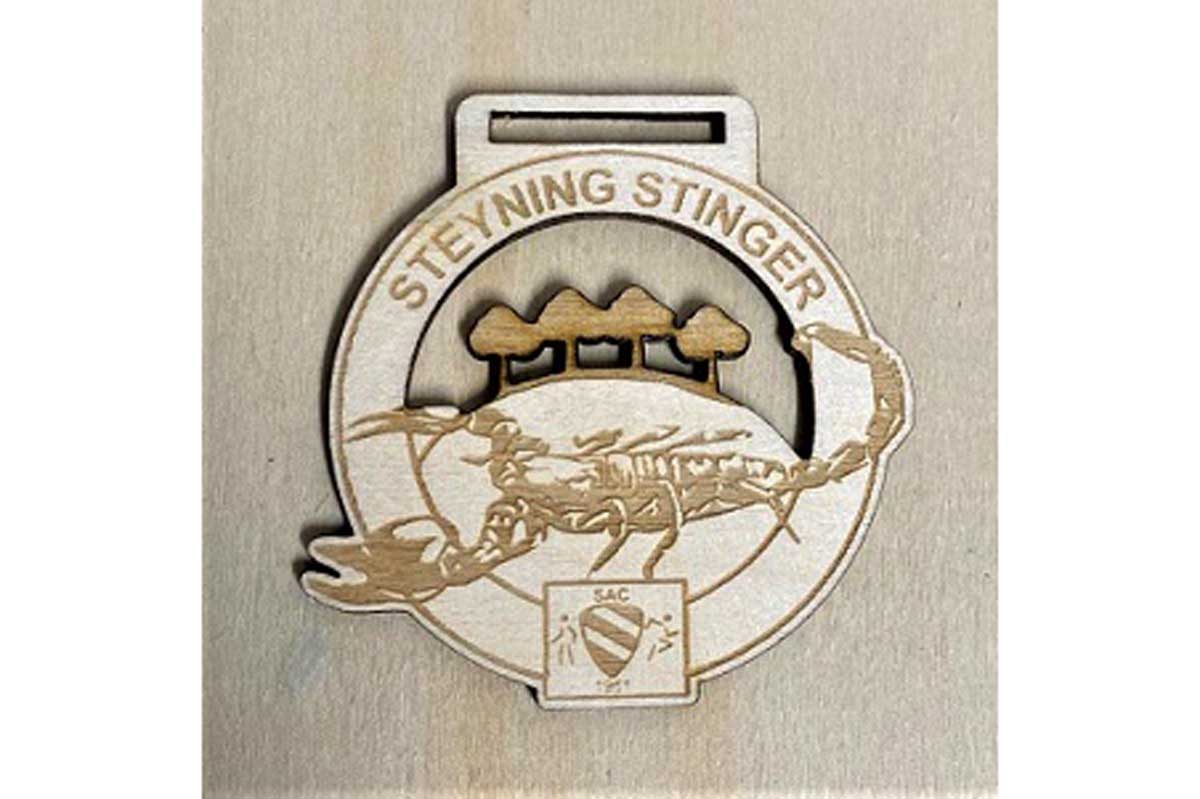 Steyning Stinger Marathon Logo