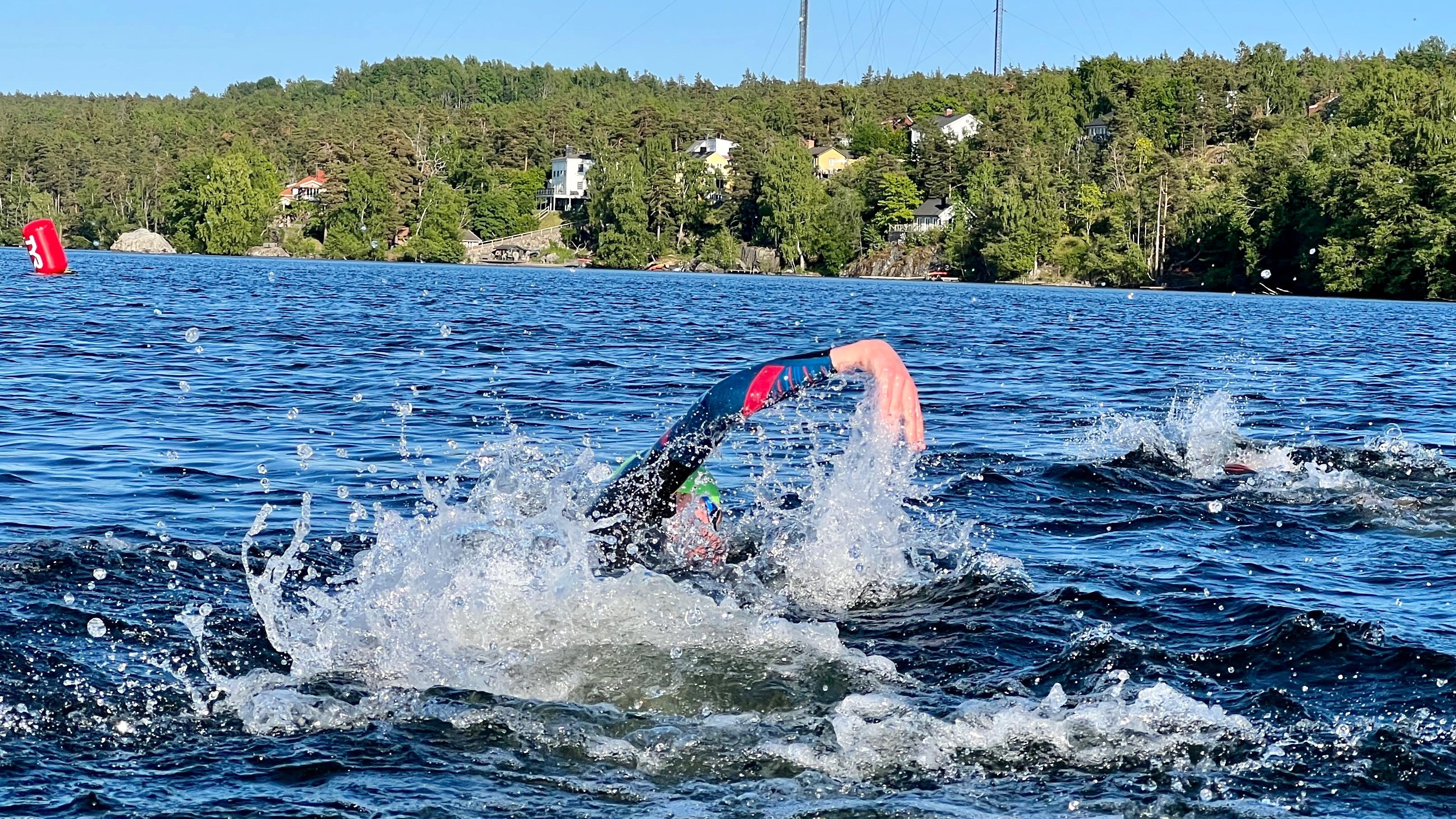 Stockholm Open Water Race (1900m/3800m) - 10 aug