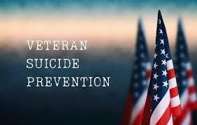 Stride For Change: Supporting Our Veterans and Military Families Logo