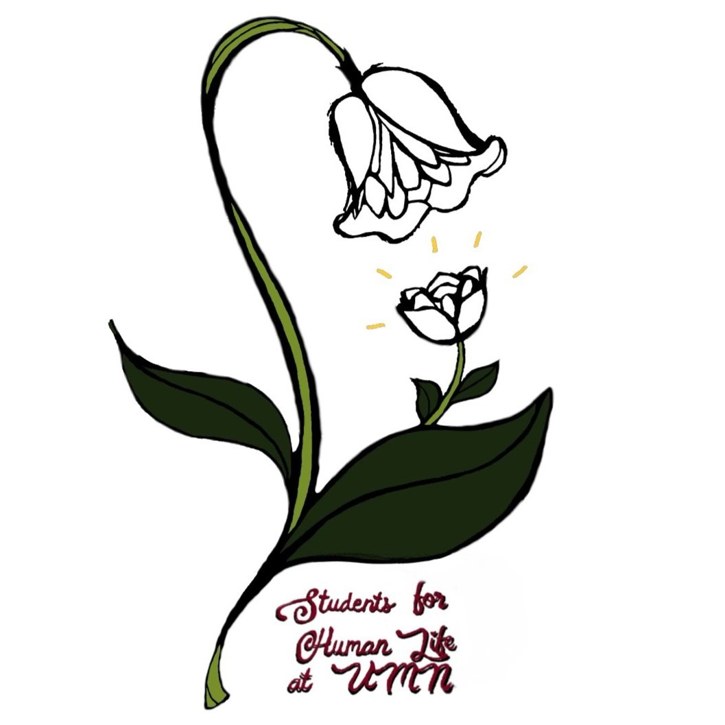 Stride for Life Logo