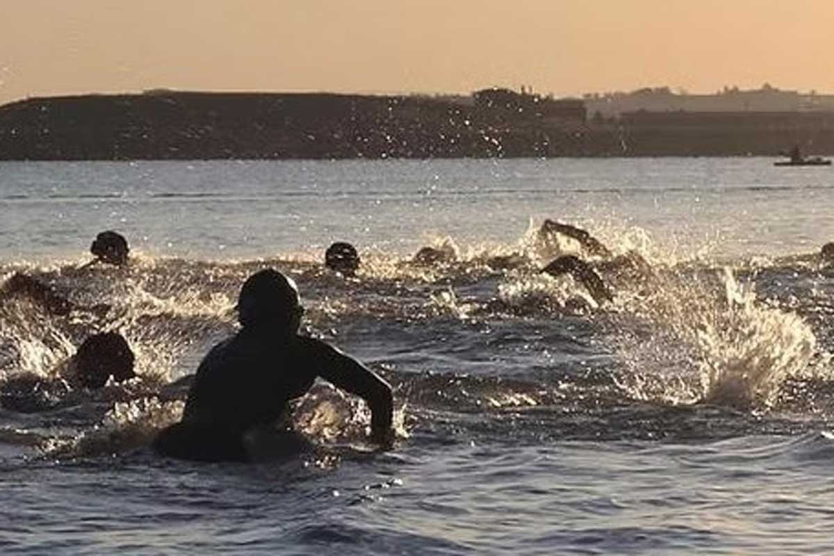 Stroke & Stride #7 Logo