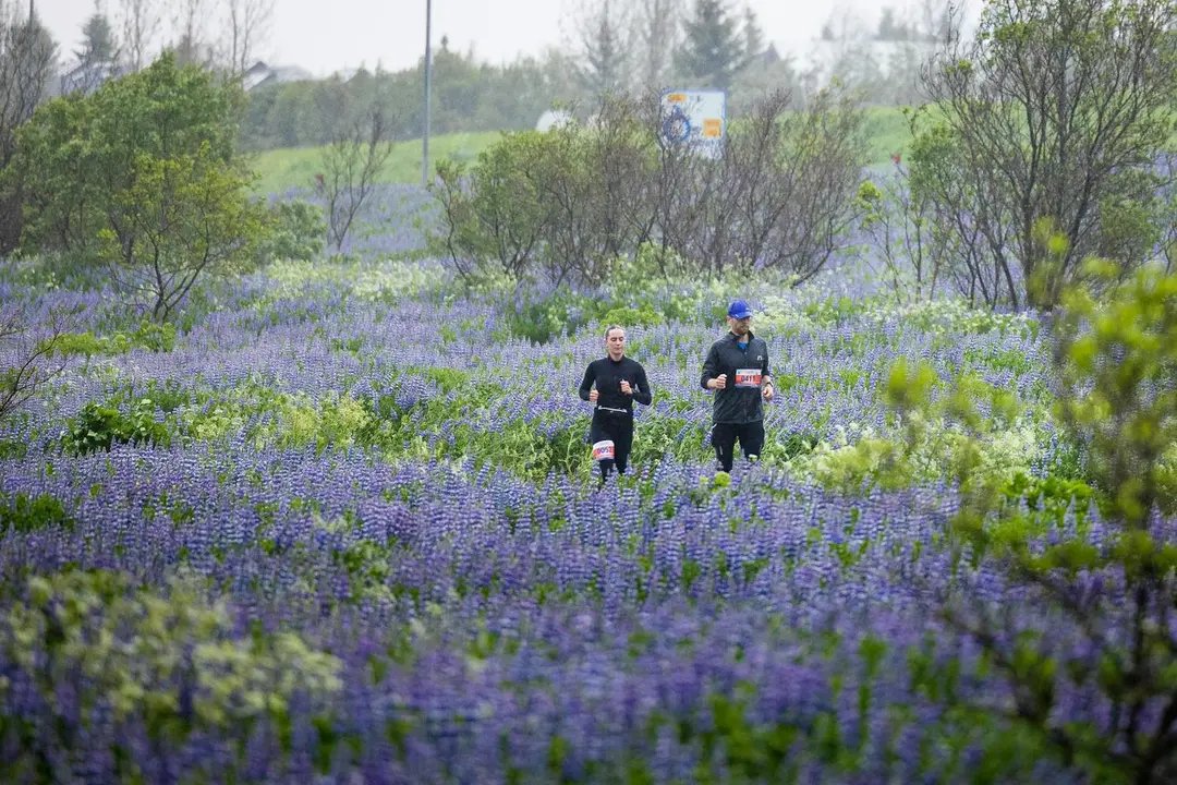 Suzuki Midnight Sun Run Logo