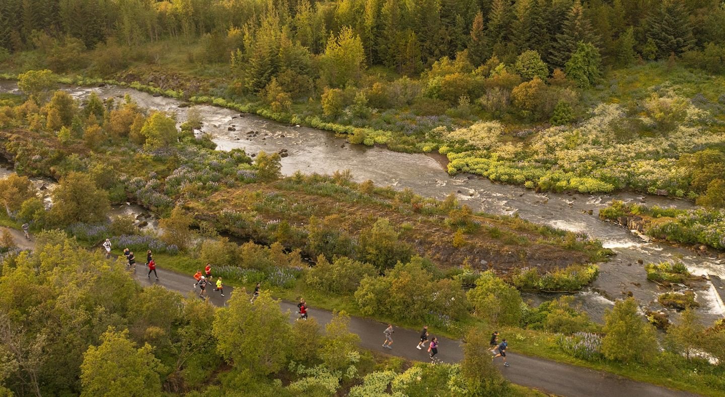 Suzuki Midnight Sun Run Logo