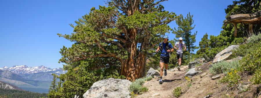 Tahoe 200 Endurance Run