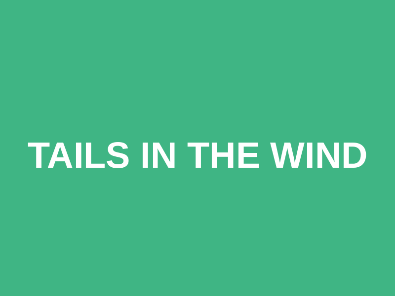 Tails in the Wind Logo