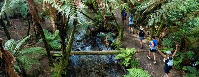 Tarawera Ultra-Trail by UTMB® - T14