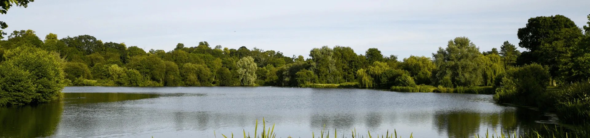 Thames 10km