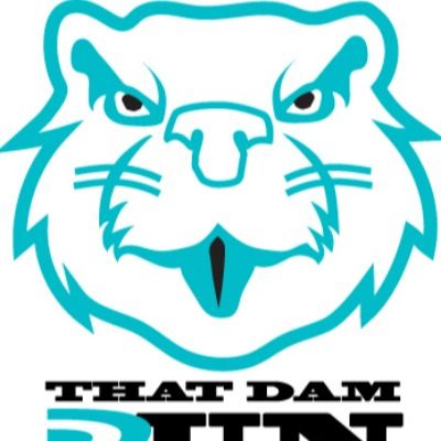 That Dam Run 13.1, 10K, 5K Logo