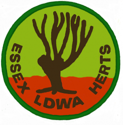 The 25th Stansted Stagger Logo