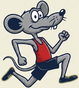 The 46th Annual Swamp Rat Runs