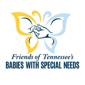 The Butterfly Run Logo