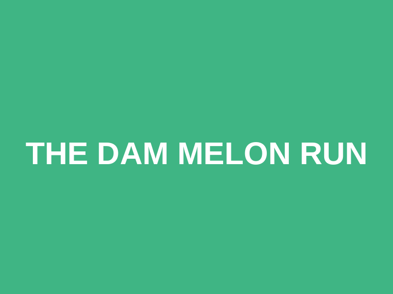 The Dam Melon Run Logo