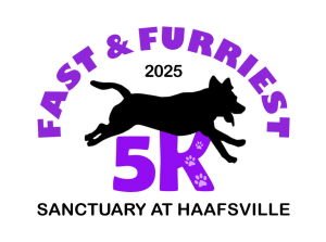 The Fast and Furriest 5k presented by the Sanctuary at Haafsville Logo