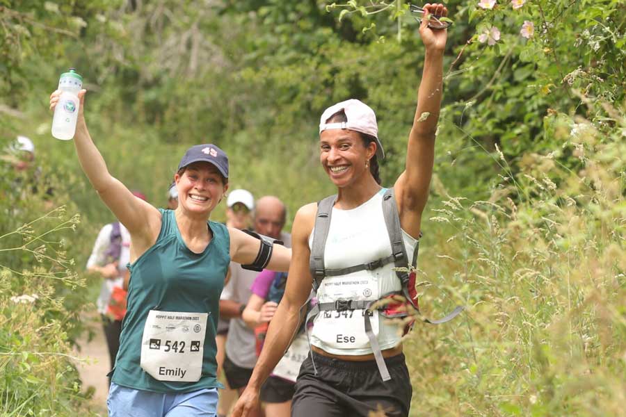 The Hampshire Hoppit