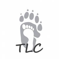 THE LIMBERLOST CHALLENGE 2026 Logo