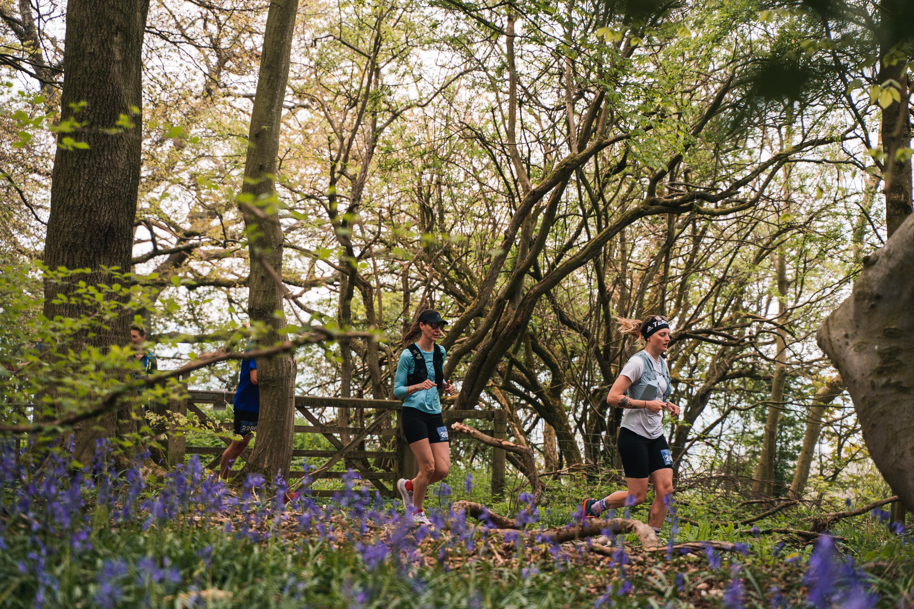 The Maverick Chilterns Trail 2027 Logo
