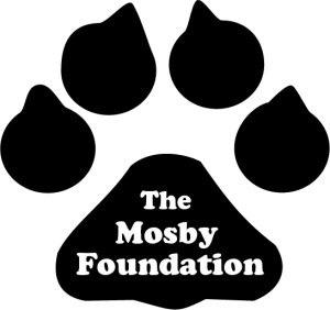 The Mosby Foundation 5K  Run Logo