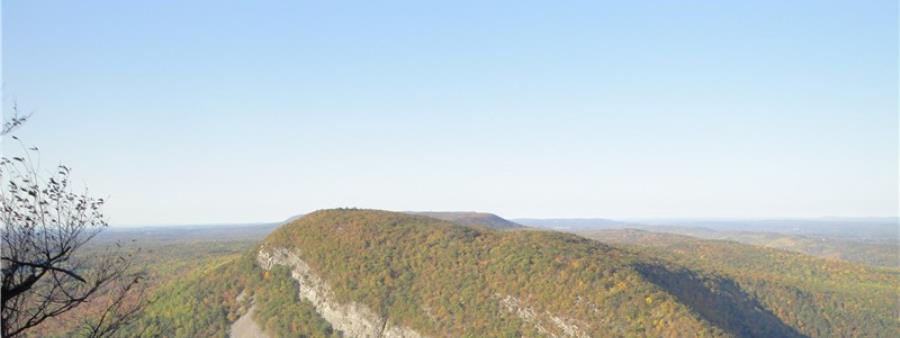 The MT. TAMMANY 10 Logo
