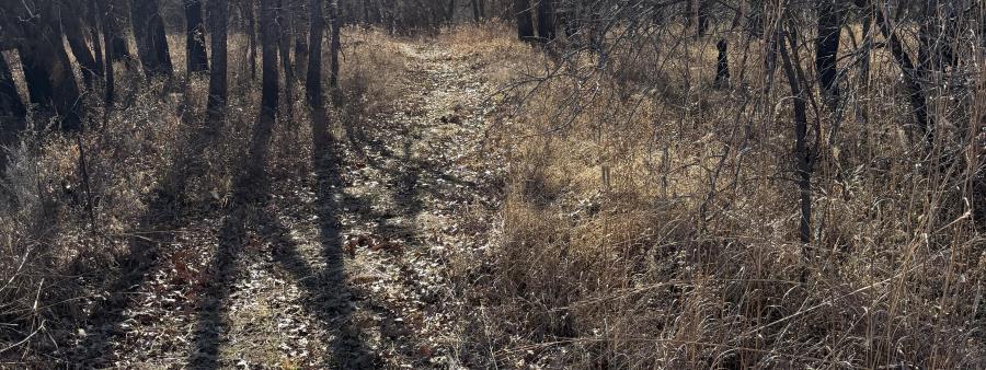 The Next Loop: 50-Mile Challenge, Lake Carl Blackwell, OK /Nov