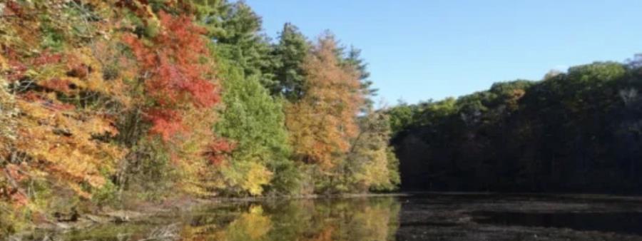 The Next Loop: 50-Mile Challenge - New England Logo