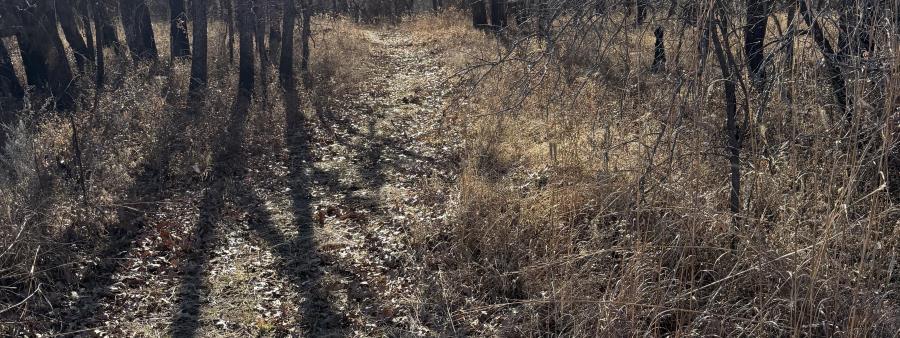 The Next Loop: Endurance Series, Lake Carl Blackwell, Nov