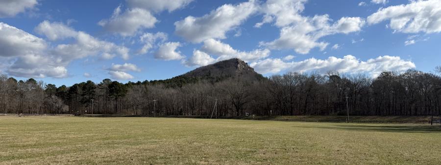 The Next Loop: Endurance Series - Pinnacle Mountain (Nov) Logo