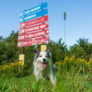 The North Face Tails and Trails Hiking Series