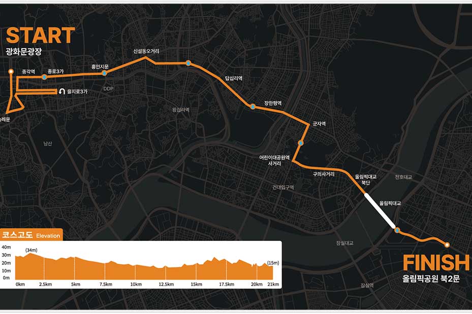 The Race Seoul 21K Logo