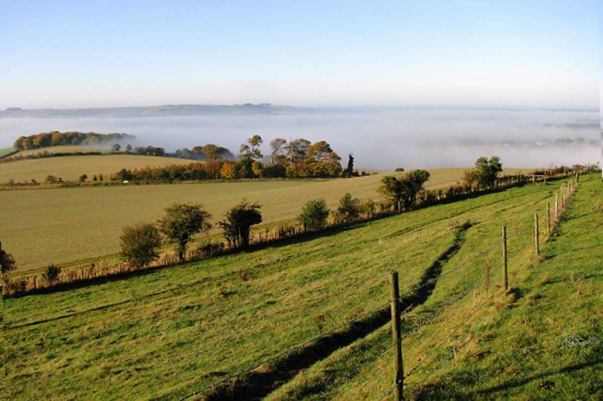 The Ridgeway 40 Walk Logo