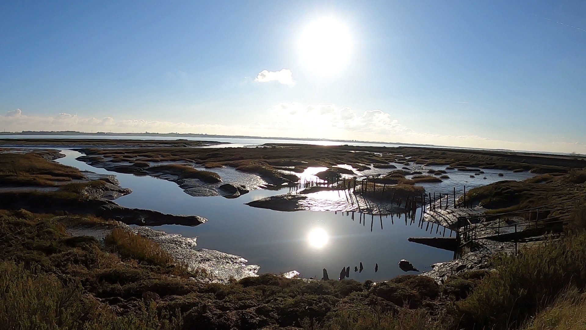 The Saltmarsh Ultra Logo