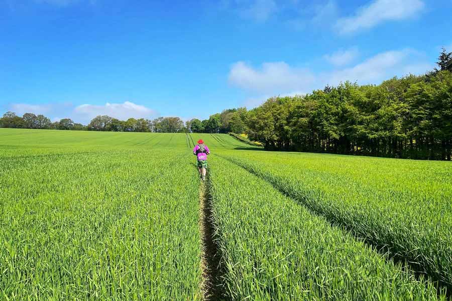 The Shindig in the Shire