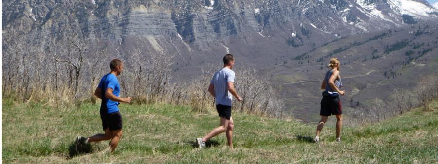 The Timp Trail Marathon and Half