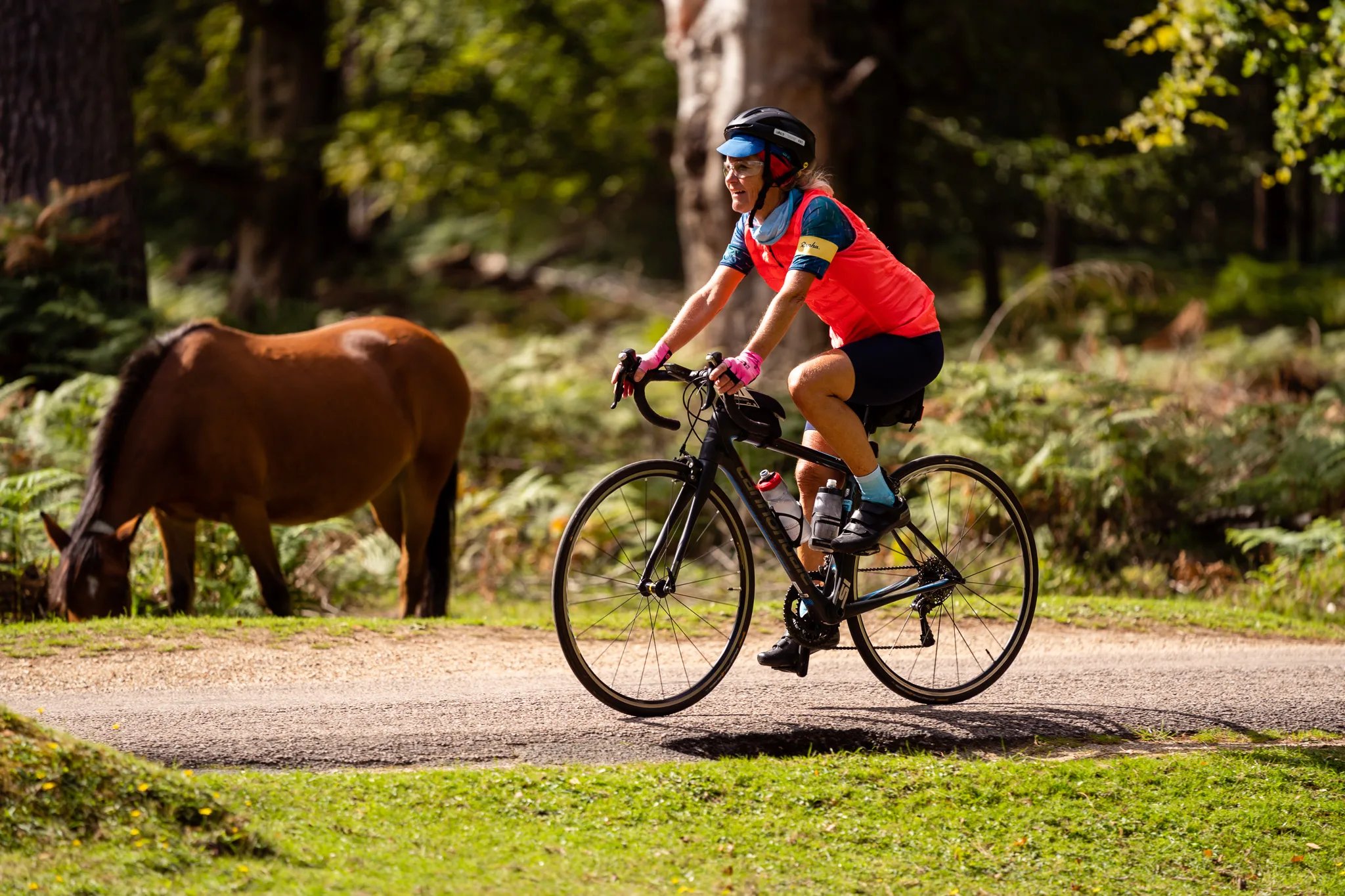 The UKCE New Forest Tour - Saturday