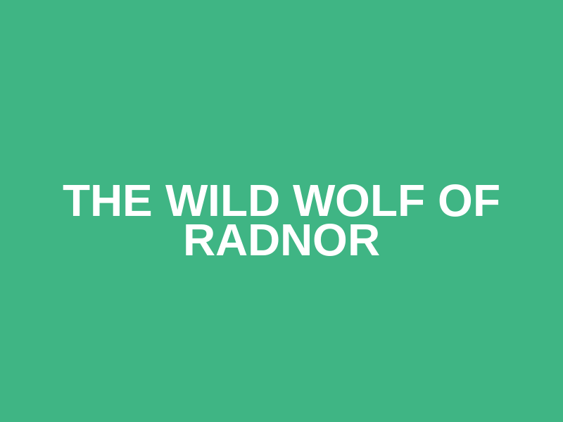 The Wild Wolf of Radnor Logo