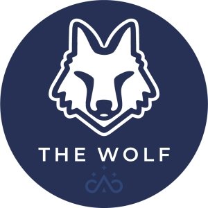 The Wolf Bikepacking Race