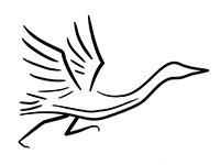 Tomorrow River Trail Half-Marathon Logo