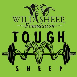 TOUGH SHEEP Logo