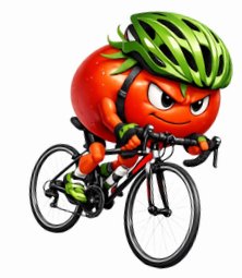 Tour De Mater Logo