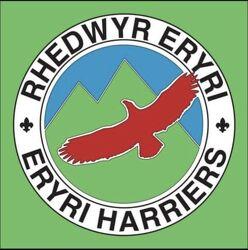 Tour De Yr Wyddfa 2027 Logo