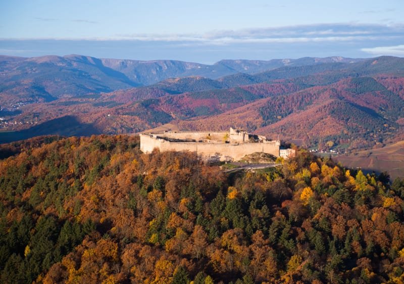 Trail Alsace by UTMB - TRAIL DES ECUYERS Cadets