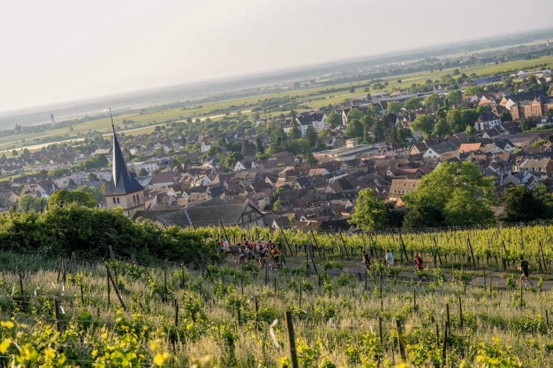 Trail Alsace by UTMB - Trail des Ecuyers